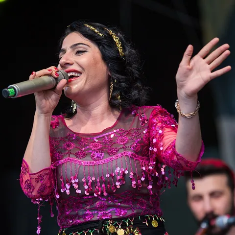 Rojda Aykoç