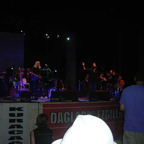 Moğollar
