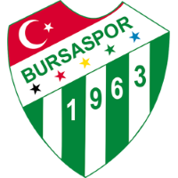 Bursaspor Basketbol logosu